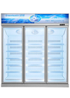 Esposizione congelata congelatore di vetro dritto della porta per congelato del gelato