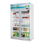 Il dispositivo di raffreddamento/bevande di vetro dell'esposizione della bevanda del congelatore della porta degli scaffali regolabili visualizza il frigorifero