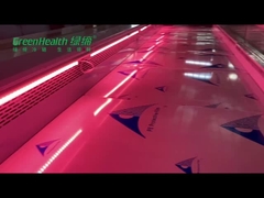 Acciaio inossidabile del congelatore dell'esposizione della carne fresca del supermercato per il ristorante