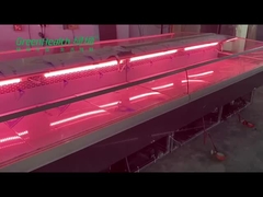 Frigorifero fresco della carne della ghiottoneria del pesce di acciaio inossidabile per il macellaio Shop