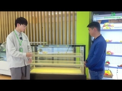 Front Open Cake Display Freezer di vetro auto- contiene