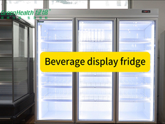 -18C Commercial Glass Door Freezer Autonomo per alimenti surgelati / Vertical Display Cooler