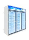 Porta di vetro del congelatore verticale commerciale della luce del LED con il compressore di Cubigel