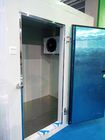 Stanza standard modulare di conservazione frigorifera/stanza di raffreddamento/stanza di congelamento per gli alimenti