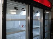 Il refrigeratore di vetro R404a della porta, congelatore della porta 3 di vetro automatico disgela