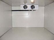 Grande stanza di conservazione frigorifera del tester cubico 105, stanza d'acciaio di conservazione frigorifera della doppia pittura laterale