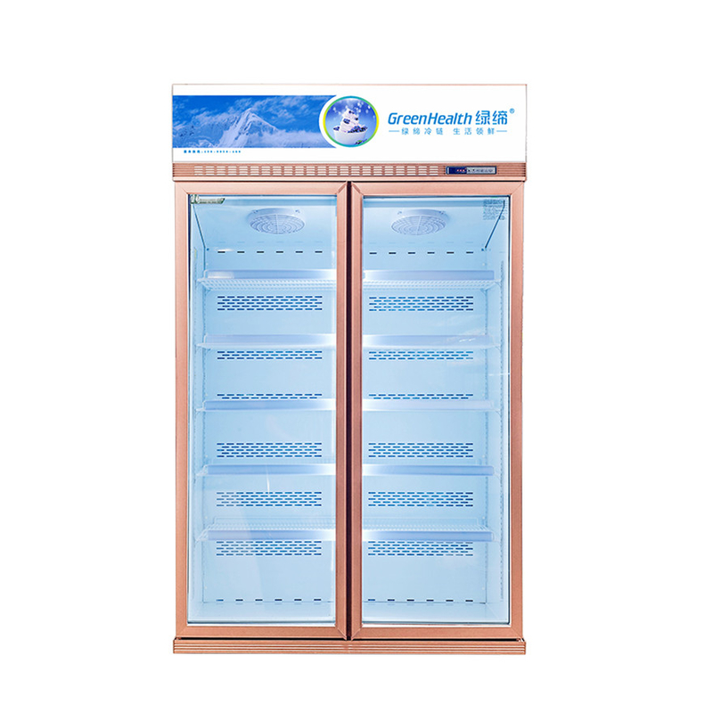 Conservazione energetica Display commerciale personalizzabile Congelatore per la conservazione dei prodotti alimentari