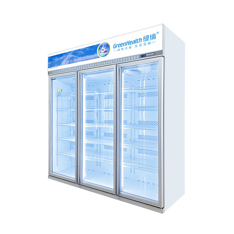 Conservazione energetica Display commerciale personalizzabile Congelatore per la conservazione dei prodotti alimentari
