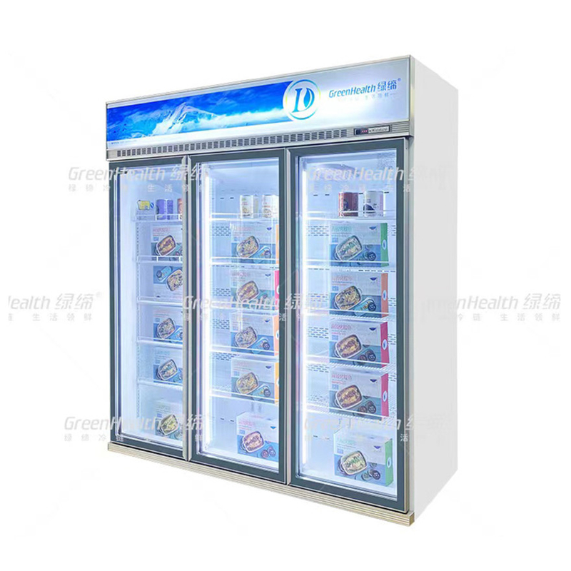 Conservazione energetica Display commerciale personalizzabile Congelatore per la conservazione dei prodotti alimentari