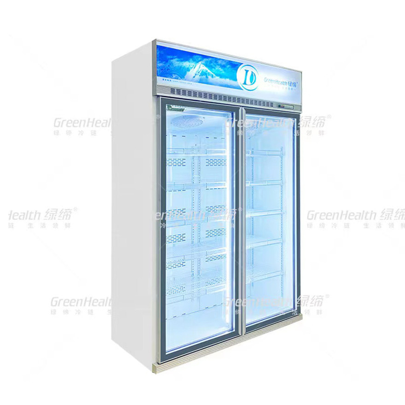 Frigorifero a due porte a frequenza variabile commerciale verticale con ventilatore e LED