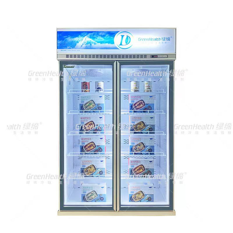 Frigorifero a due porte a frequenza variabile commerciale verticale con ventilatore e LED