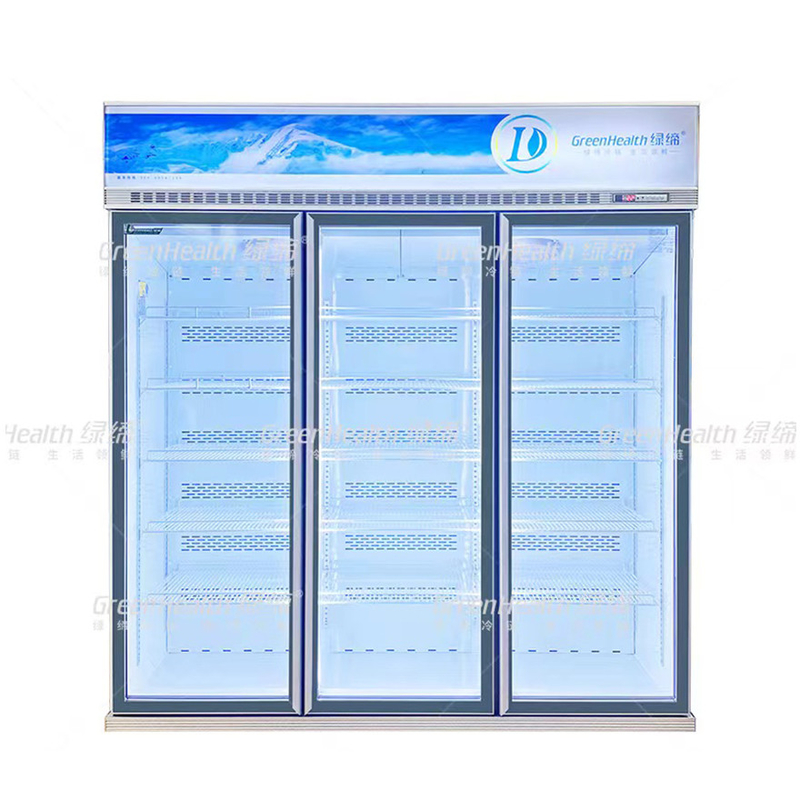 Frigorifero a due porte a frequenza variabile commerciale verticale con ventilatore e LED