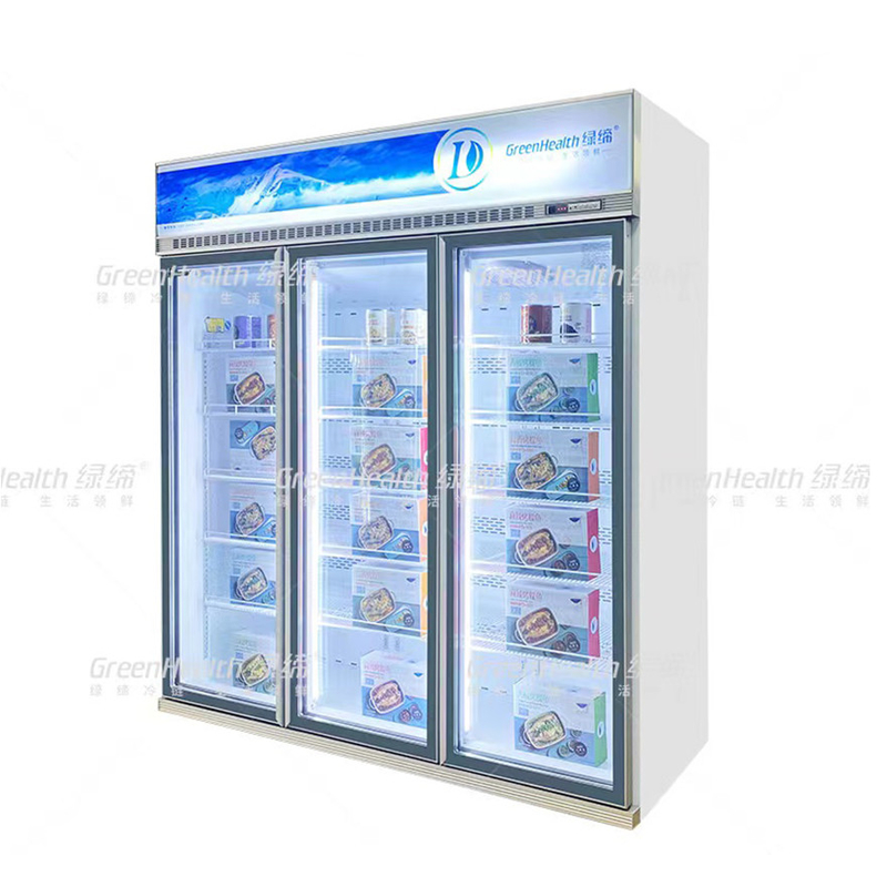 Frigorifero a due porte a frequenza variabile commerciale verticale con ventilatore e LED