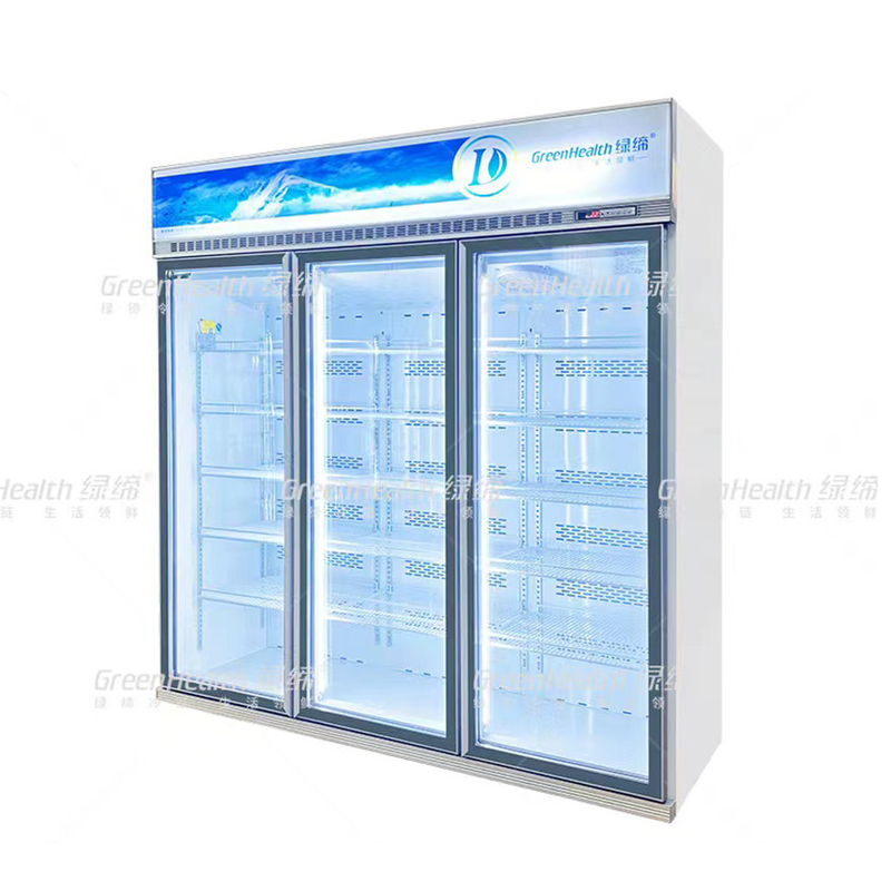 Frigorifero a due porte a frequenza variabile commerciale verticale con ventilatore e LED