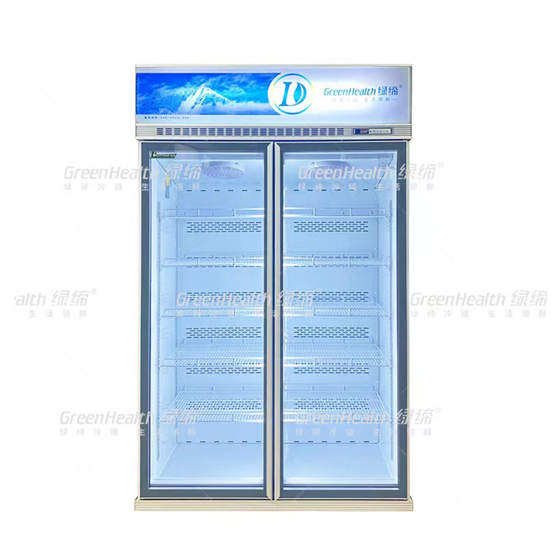 Frigorifero a due porte a frequenza variabile commerciale verticale con ventilatore e LED