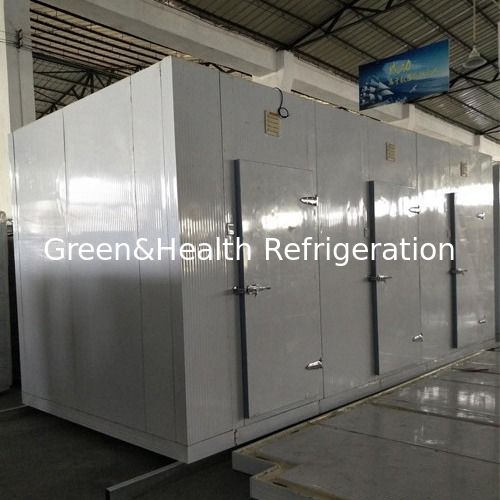 Commerciale Walk-In Cooler & Freezer con dimensioni personalizzabili Isolamento poliuretano ad alta densità e Copeland Compressore