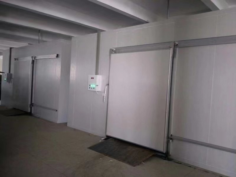 Sala frigorifera personalizzata per il congelamento di pesce e carne con sistema di controllo automatico