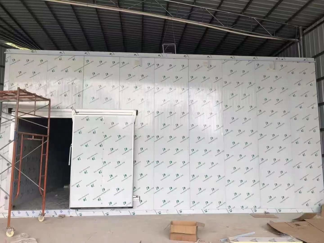 Panelli in PU Sala frigorifera camminata Freezer Camere frigorifere modulari con diverse temperature