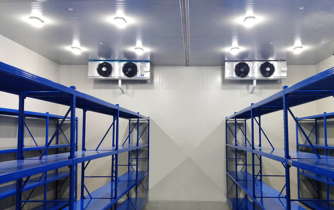 Panelli in PU Sala frigorifera camminata Freezer Camere frigorifere modulari con diverse temperature