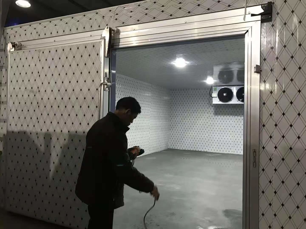 Controllo elettronico della temperatura digitale Sala frigorifera per verdure frutta carne e pesce personalizzabile