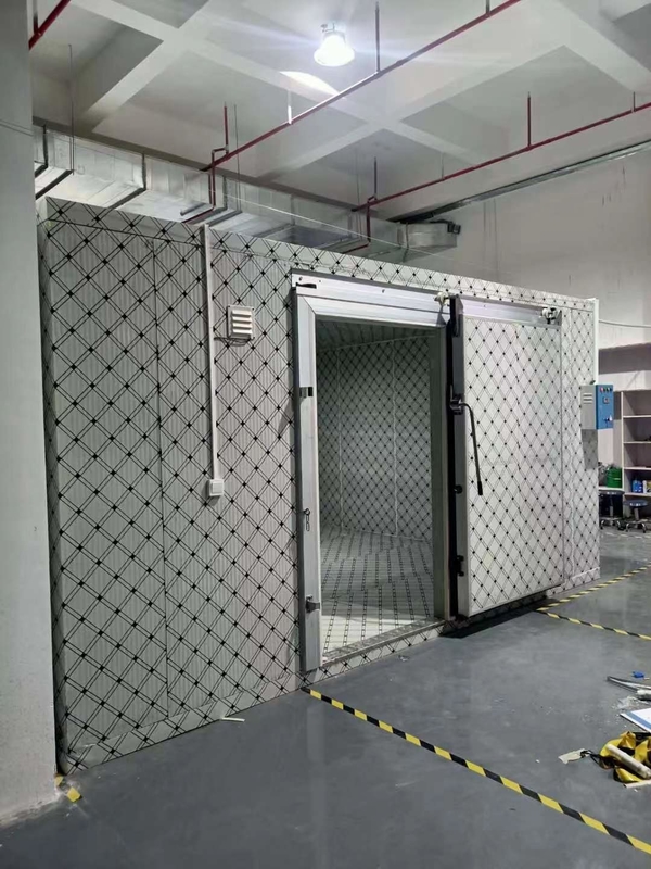 Controllo elettronico della temperatura digitale Sala frigorifera per verdure frutta carne e pesce personalizzabile