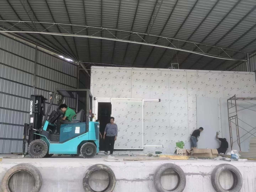 Commercial Food Storage Room Cold Storage Room Indoor Walk-In Freezer Con Pavimento