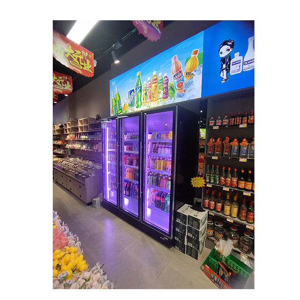 2/3 Porte Multipli Variante di colore Bevande Alcolici Bevande refrigerate Display Cabinet