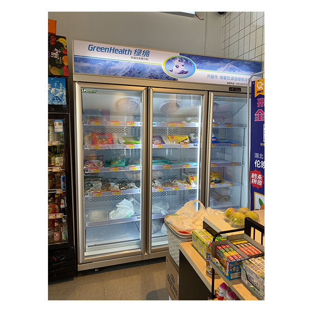 Supermercato / negozio con tre porte di vetro dotate di frigoriferi a display di congelamento unitario