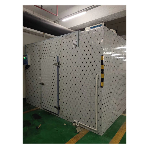 Immagazzinamento frigorifero su misura di fabbrica Immagazzinamento commerciale su larga scala Alimenti di alta qualità Immagazzinamento frigorifero