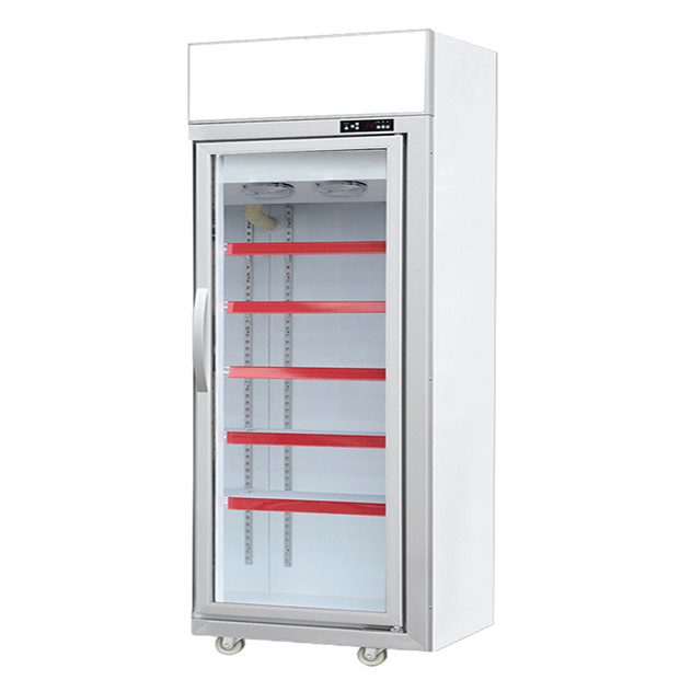 Supermercato commerciale / negozio con porte di vetro dotate di frigoriferi con display di congelamento