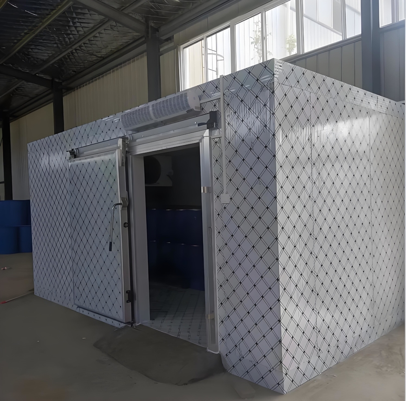 Stoccaggio alla rinfusa Camera frigorifera Camera fredda Walk-In con sistema di refrigerazione per celle frigorifere