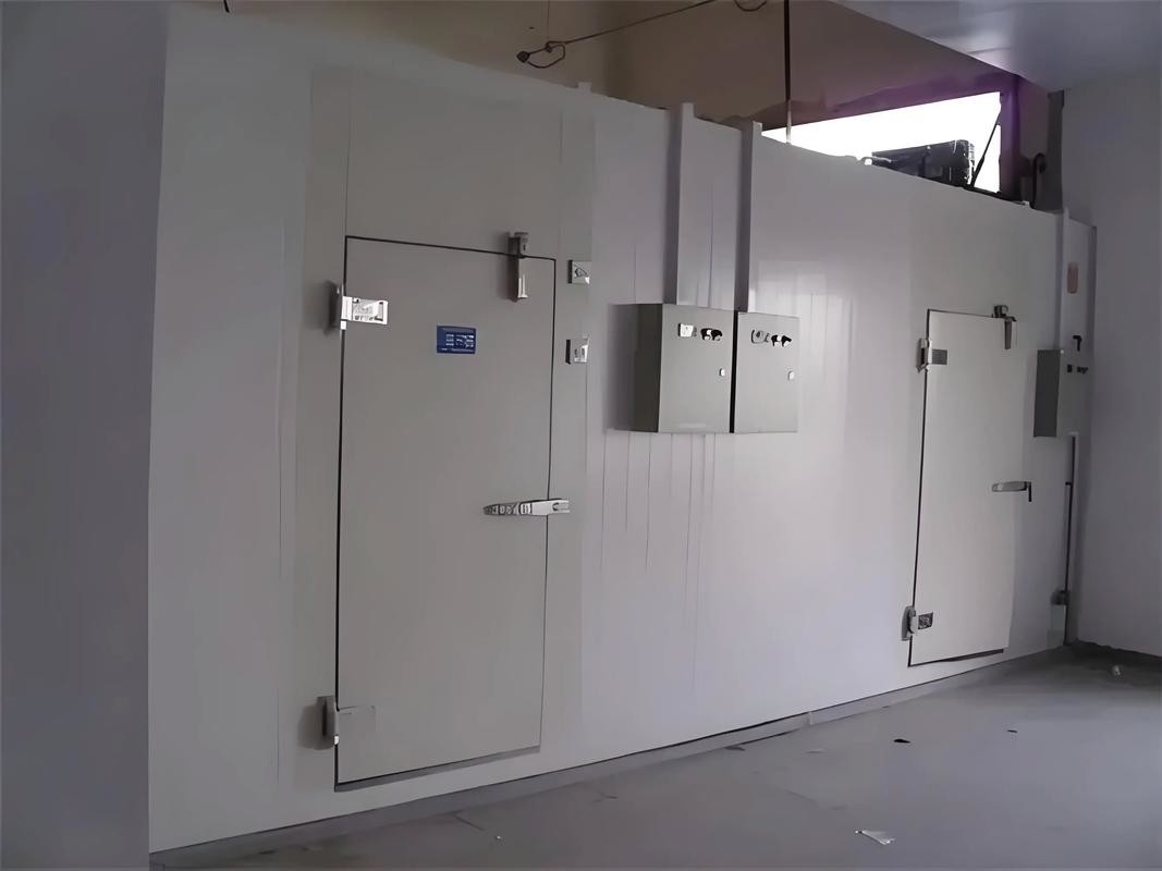 Stoccaggio alla rinfusa Camera frigorifera Camera fredda Walk-In con sistema di refrigerazione per celle frigorifere