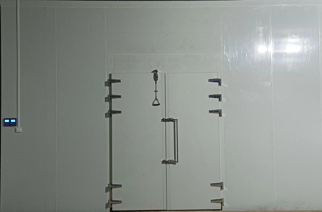 Stoccaggio alla rinfusa Camera frigorifera Camera fredda Walk-In con sistema di refrigerazione per celle frigorifere