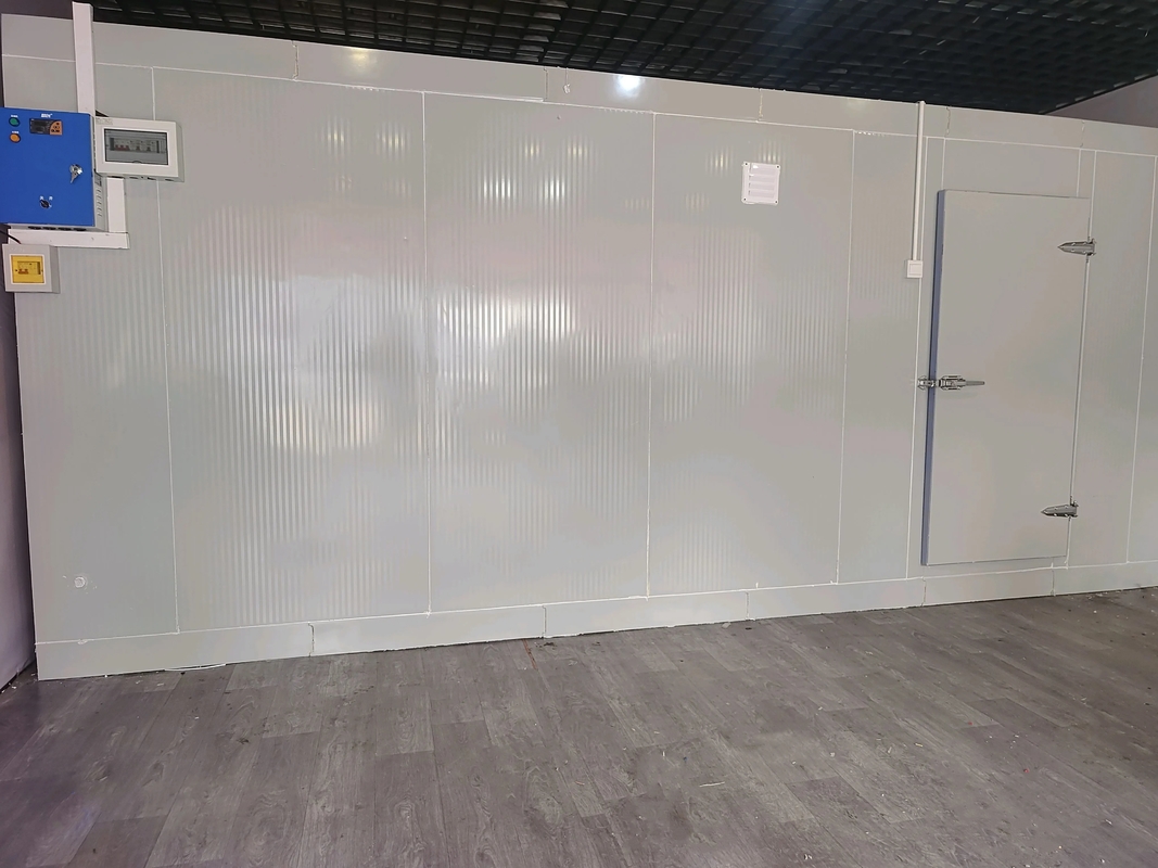 Stoccaggio alla rinfusa Camera frigorifera Camera fredda Walk-In con sistema di refrigerazione per celle frigorifere