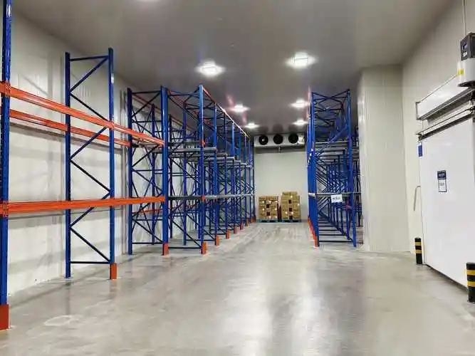 Stoccaggio alla rinfusa Camera frigorifera Camera fredda Walk-In con sistema di refrigerazione per celle frigorifere
