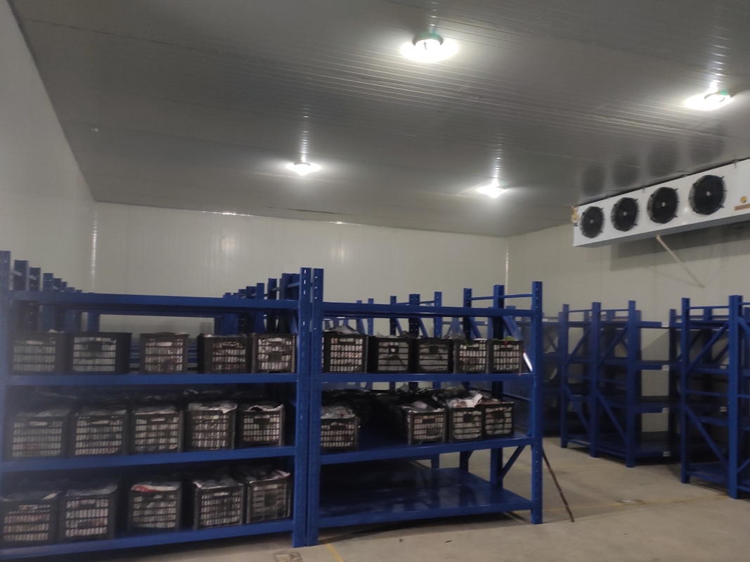 Unità di refrigerazione di piccoli spazi frigoriferi Prezzo