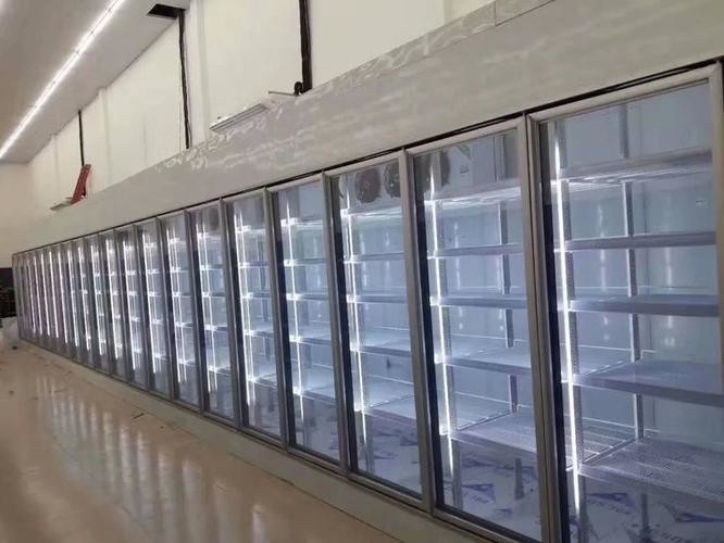 Dimensioni personalizzate Sala frigorifera modulare Pannelli in PU Temperatura della stanza frigorifera di -18°C