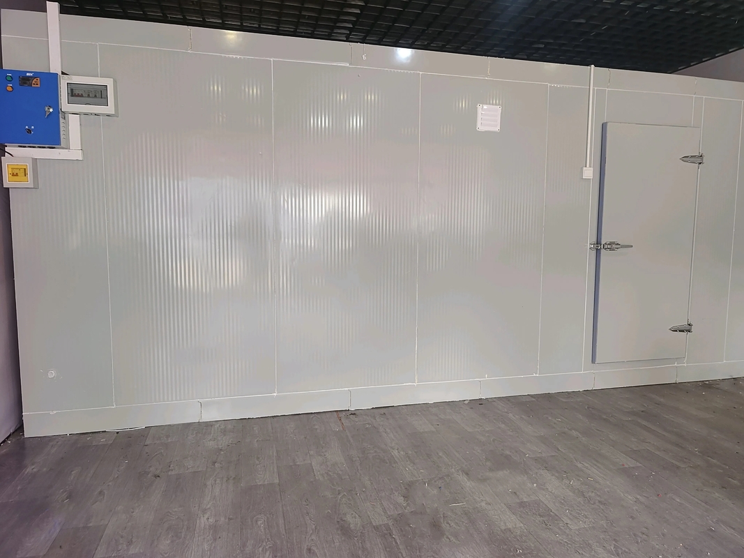 Porta a battente con pannello isolante in PU per celle frigorifere commerciali, installazione rapida, per pesce