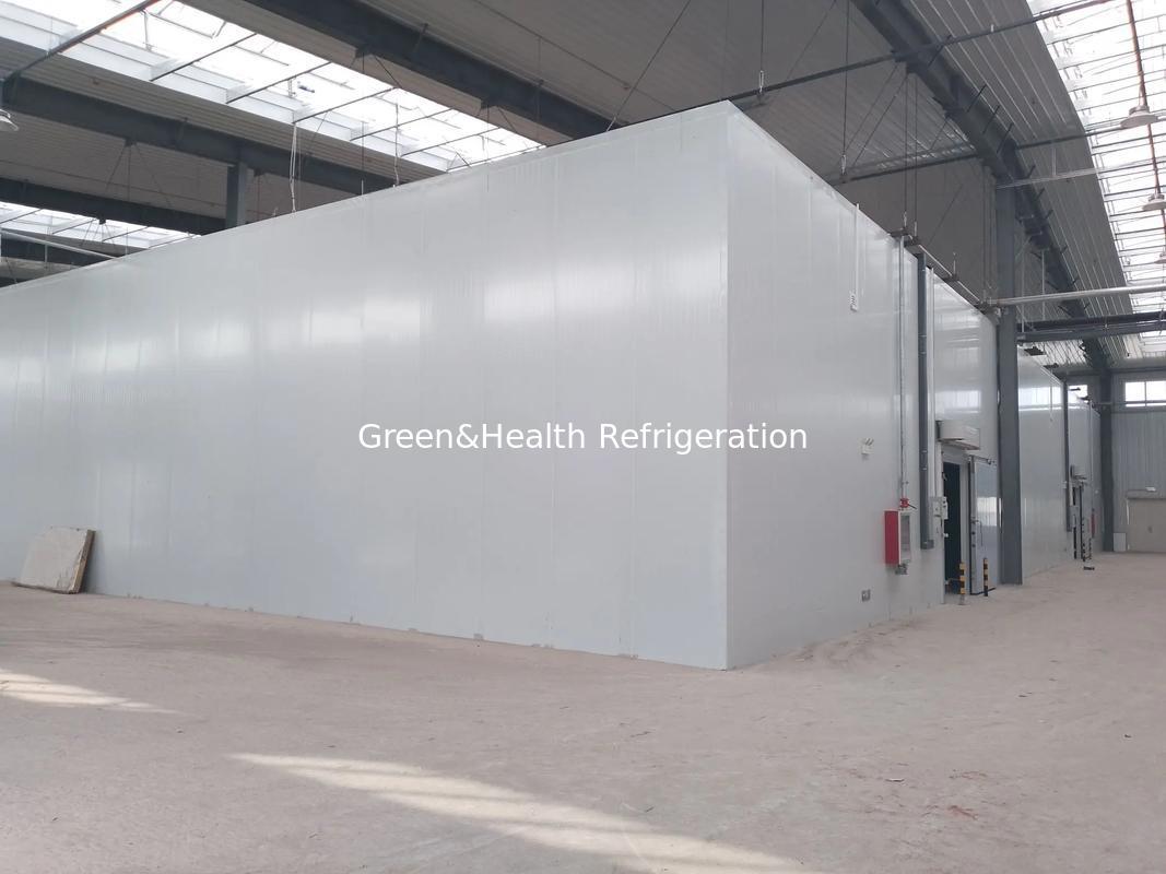 Disegno modulare camminata in camera di stoccaggio freddo frigorifero frigorifero magazzino in vendita