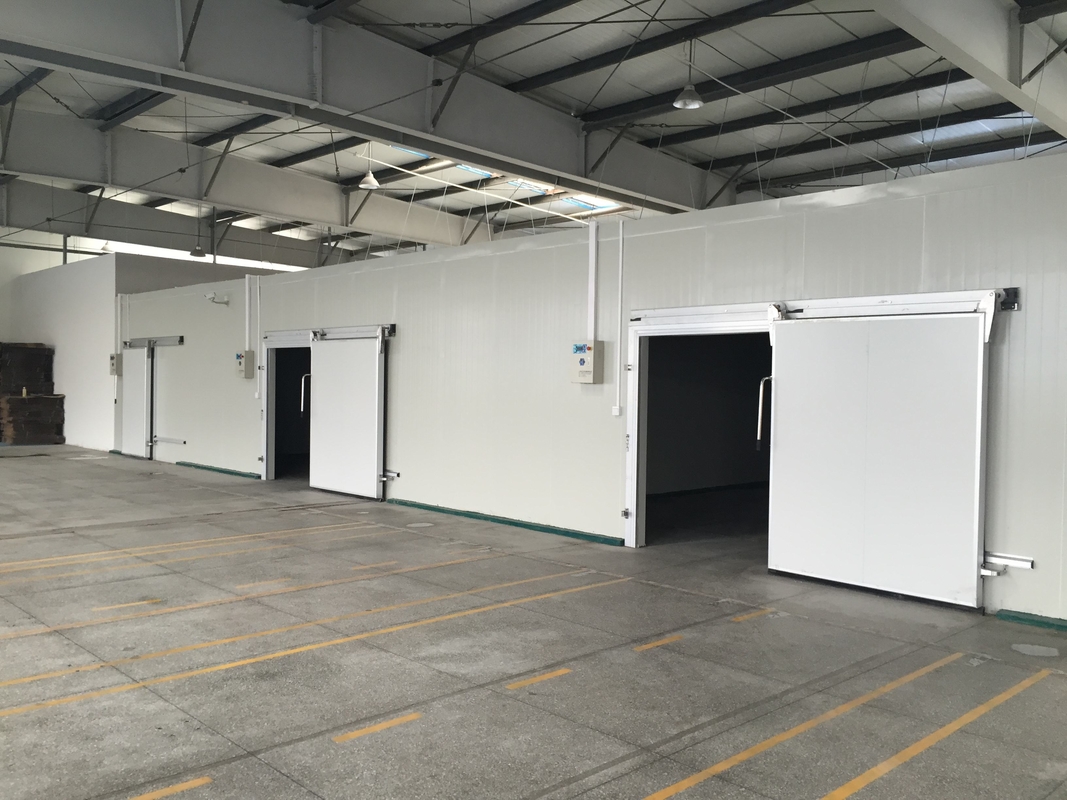 Requisiti per celle frigorifere modulari per surgelazione - Celle frigorifere con temperatura da -18 a -22 gradi Celsius