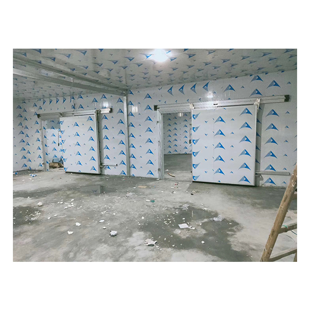 Magazzino frigorifero per congelamento e refrigerazione di alimenti di grandi dimensioni per supermercati, personalizzato in fabbrica