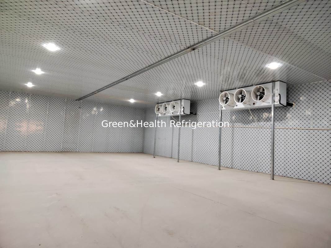 Stanza frigorifera per carne e pesce con isolamento energetico e pannelli durevoli