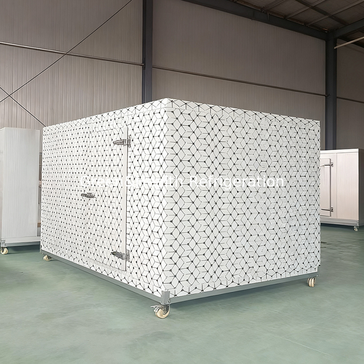 Unità di refrigerazione personalizzata per celle frigorifere walk-in per macellerie e lavorazione della carne a Guangzhou