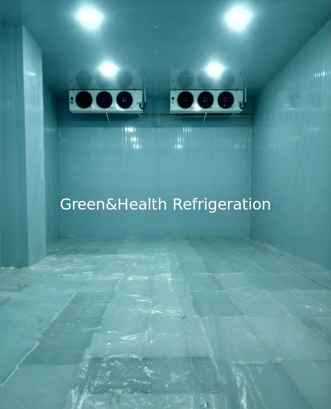 Stanza frigorifera personalizzabile disponibile in varie dimensioni e intervalli di temperatura per le tue esigenze individuali