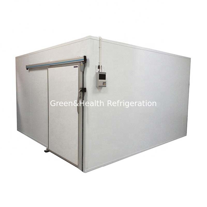 Cella frigorifera del supermercato economizzatore d'energia di conservazione per la carne & la verdura di pesce