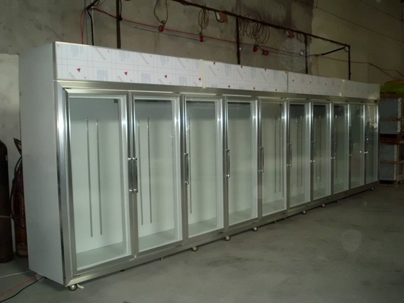 Scaffali di vetro solidi di triplo del congelatore della porta con il radiatore dentro