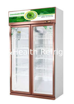 Refrigeratore verticale dell'esposizione del frigorifero di vetro commerciale di due porte con a basso rumore