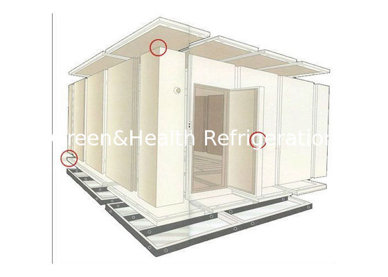 In magazzino camminare in frigorifero marino carne di manzo pollo congelatori isolamento PU