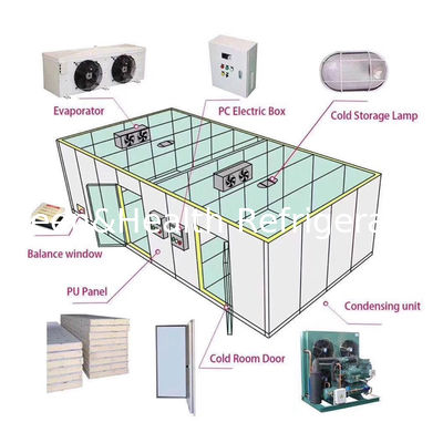 Sala frigorifera da piccola a grande capacità per varie applicazioni