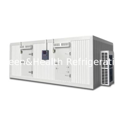 Sala frigorifera personalizzabile per la congelazione di carne e manzo